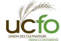 UCFO | Activar Logo UCFO